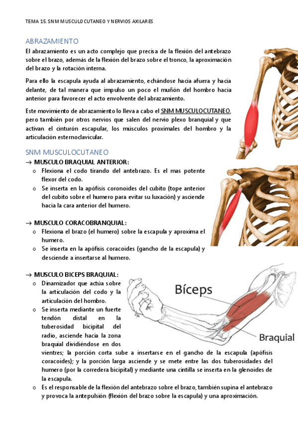 Miniatura del documento TEMA-15.pdf