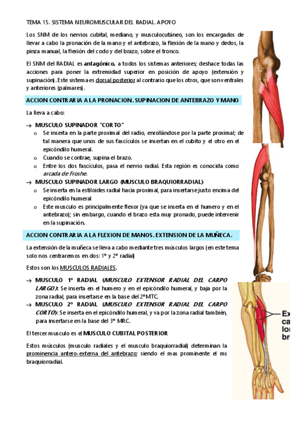 Miniatura del documento TEMA-15.pdf