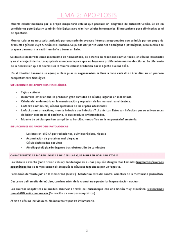 Miniatura del documento Tema-2.pdf