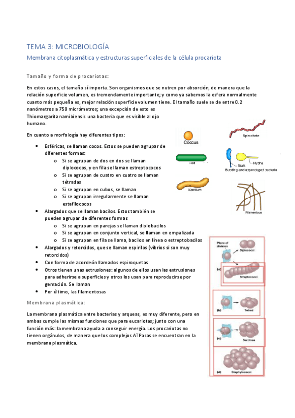 Miniatura del documento Tema-3.pdf