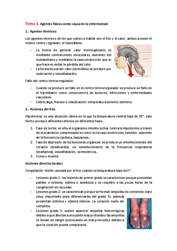 Miniatura del documento Tema-3.pdf