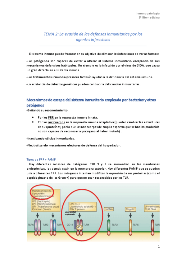 Miniatura del documento Tema-2.pdf