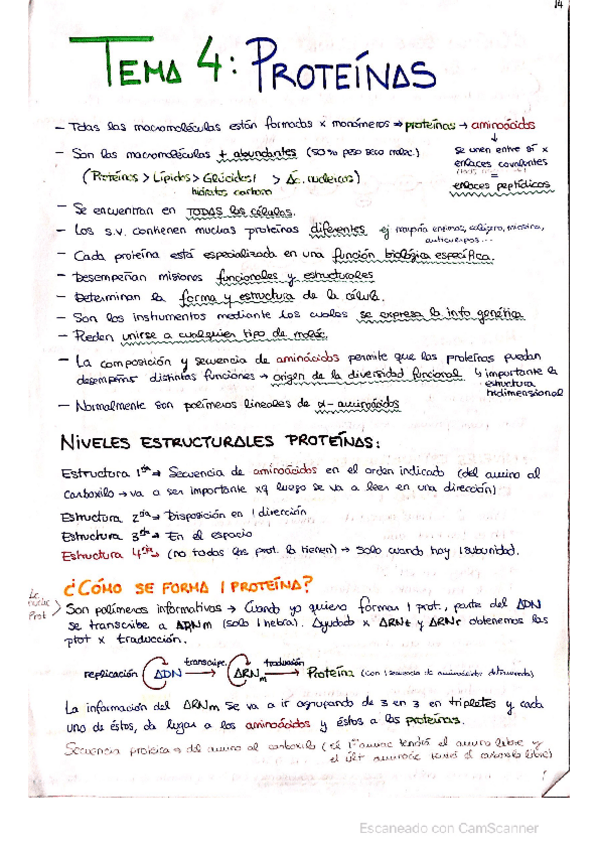 Miniatura del documento TEMA-4-PROTEINAS.pdf