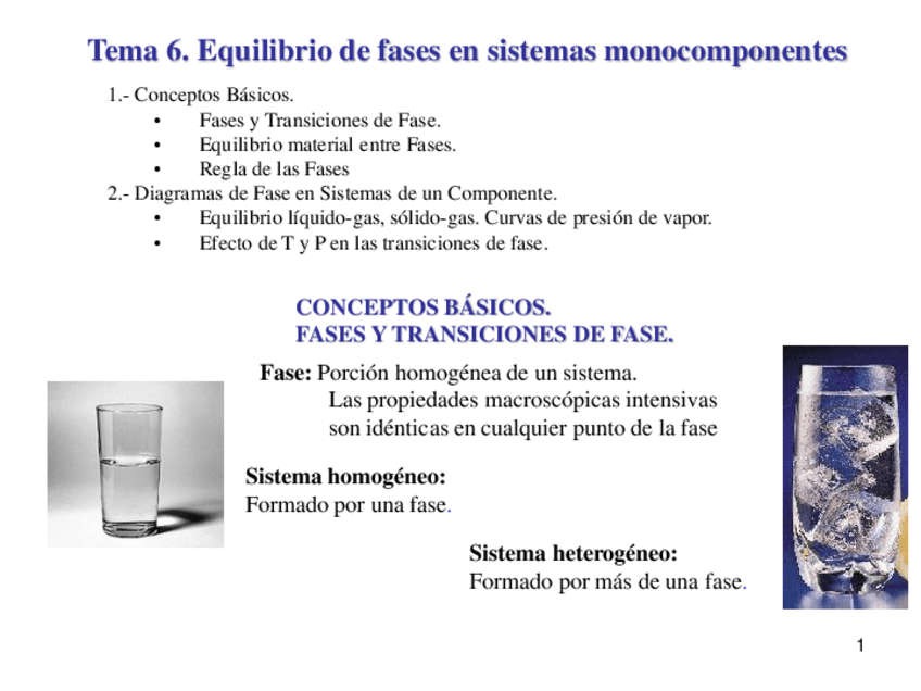 Miniatura del documento Tema-6-Equi-Fases-Monocomp.pdf
