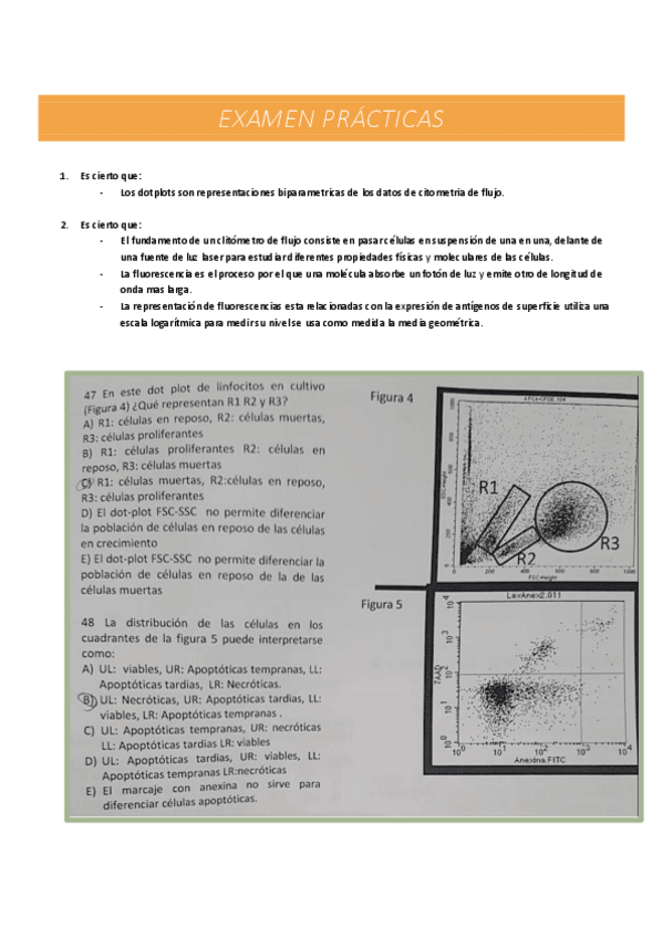 Miniatura del documento EXAMEN-PRACTICAS.pdf
