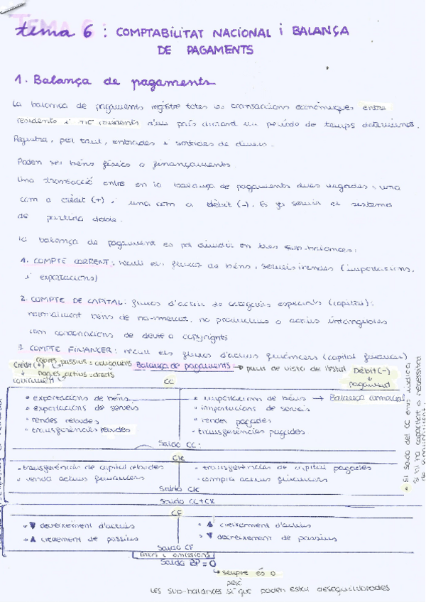 Miniatura del documento resum-t.pdf