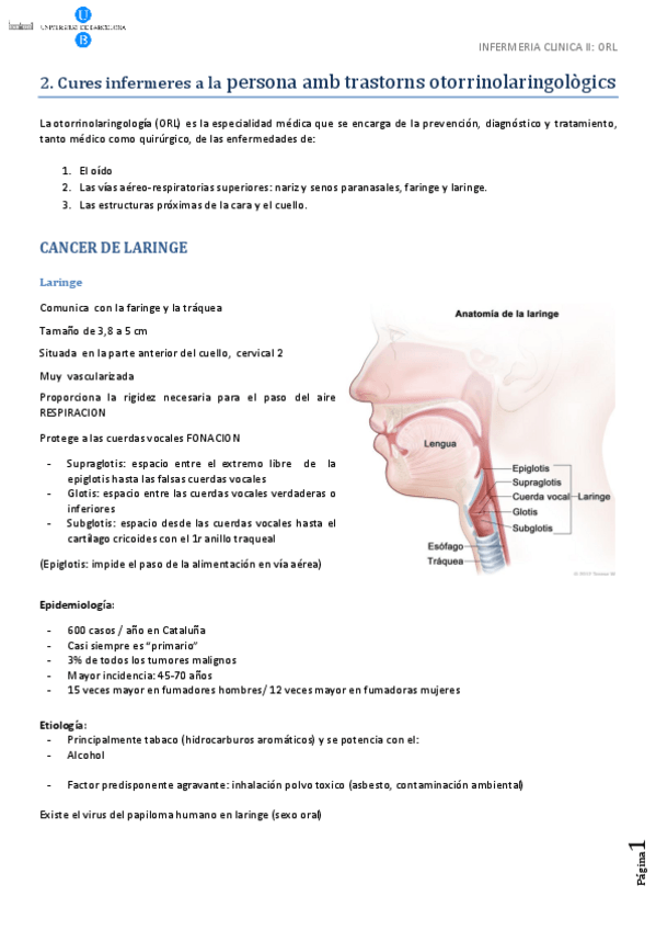 Miniatura del documento ORL.pdf
