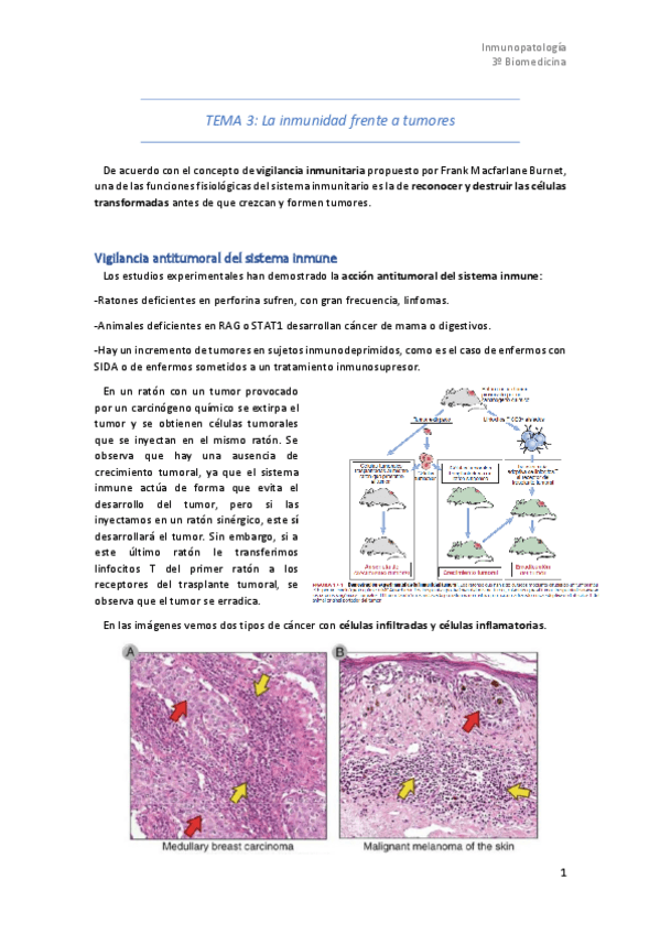 Miniatura del documento Tema-3.pdf