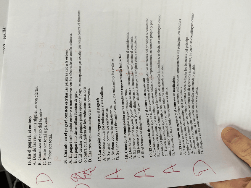 Miniatura del documento IMG_1942.JPG