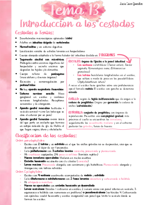 Miniatura del documento Resumen-PARA-T13.pdf