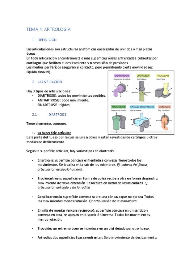 Miniatura del documento TEMA-4-resumen.pdf
