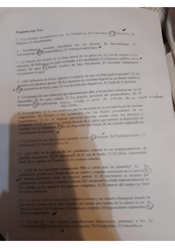 Miniatura del documento Test-y-preguntas-resueltas.pdf