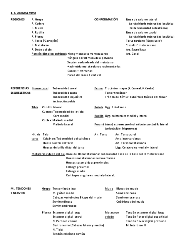 Miniatura del documento OBJETIVOS8.pdf