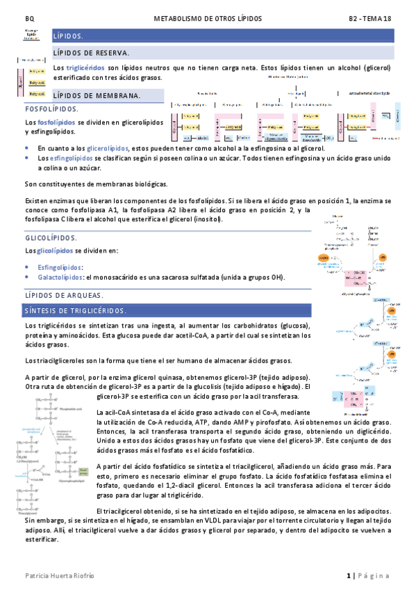 Miniatura del documento T18.pdf