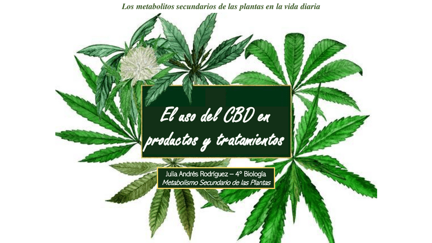 Miniatura del documento AndresRodriguezJuliapresentacion.pdf