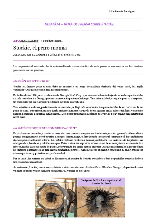 Miniatura del documento AndresJdesafio4.pdf