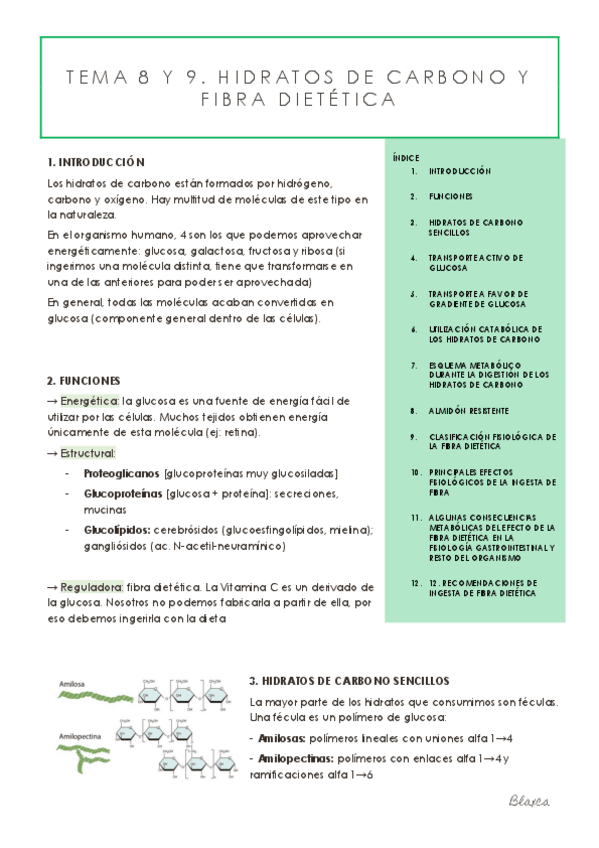 Miniatura del documento TEMA-8-Y-9.pdf