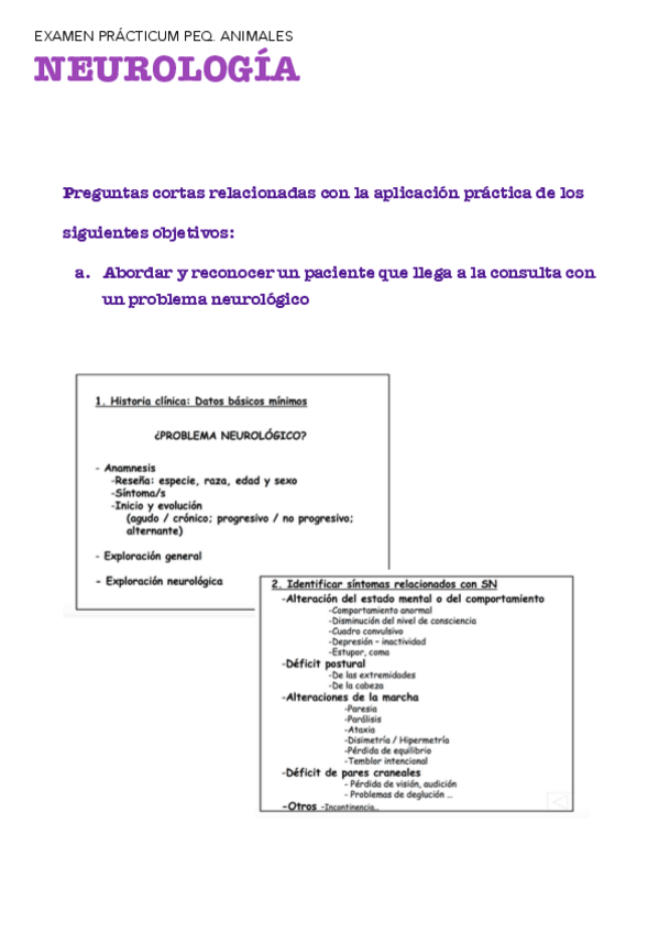 Miniatura del documento EXAMEN PRÁCT. NEURO..pdf