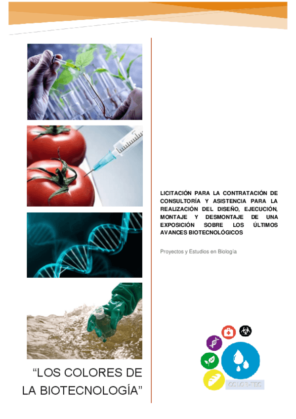 Miniatura del documento oferta-final-proyectos.pdf