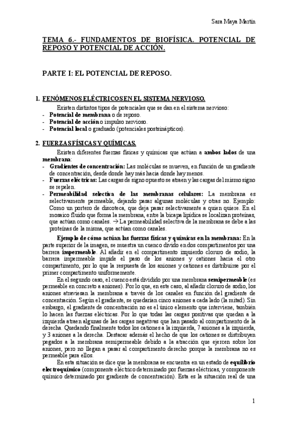 Miniatura del documento TEMA-6.pdf