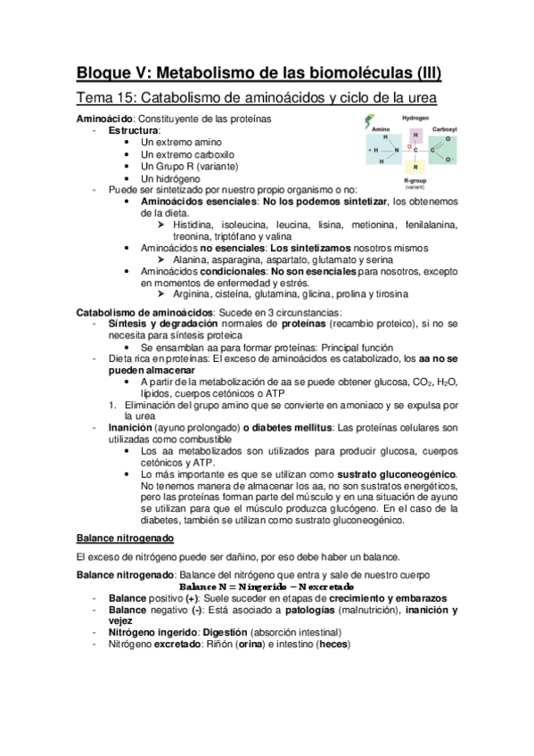 Miniatura del documento Bloque-V-y-VI-Metabolismo-UAM.pdf