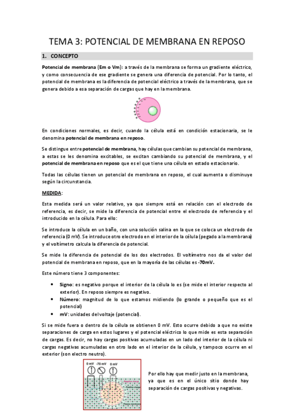 Miniatura del documento TEMA-3.pdf