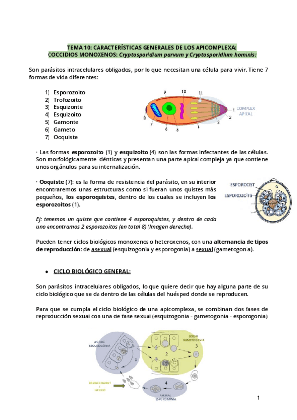 Miniatura del documento Tema-10.pdf