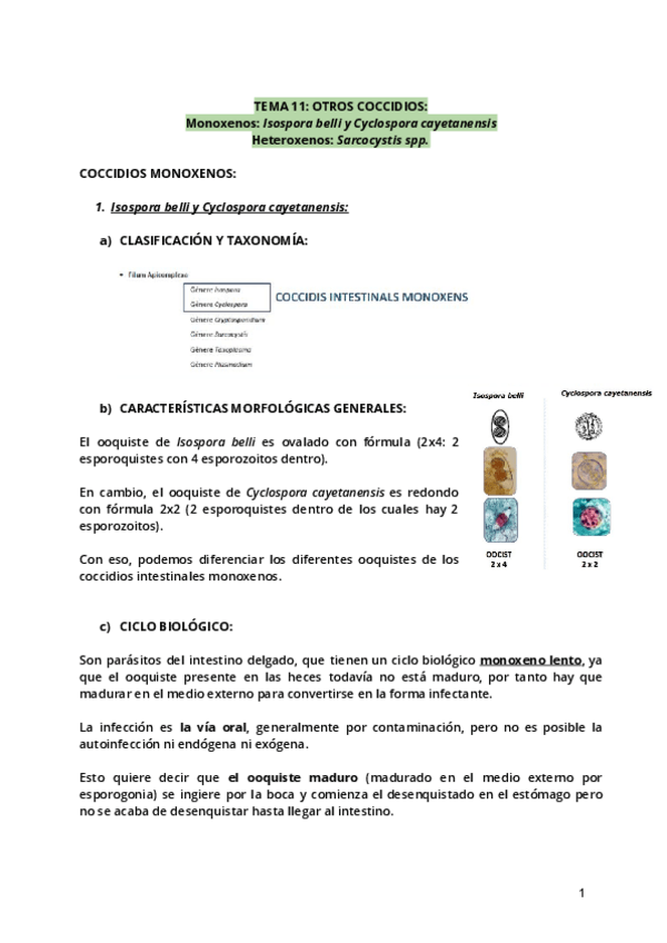Miniatura del documento Tema-11.pdf