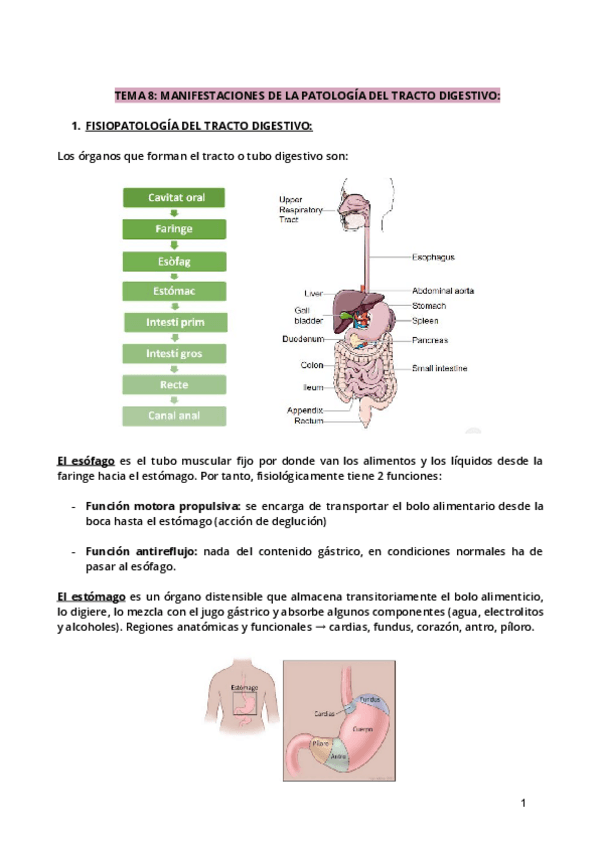 Miniatura del documento Tema-8.pdf