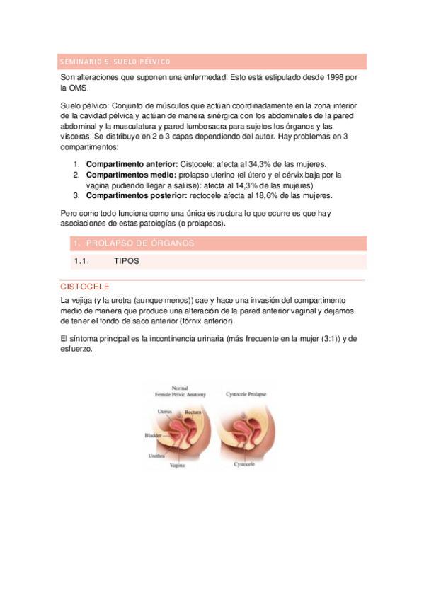 Miniatura del documento SEMINARIO-5.pdf