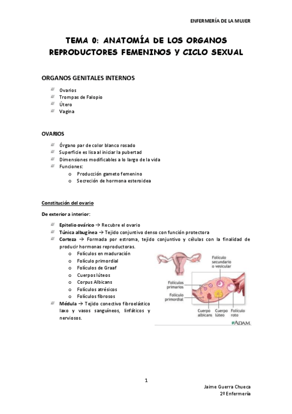 Miniatura del documento TEMA-0-ANATOMIA.pdf