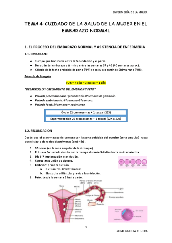 Miniatura del documento TEMA-4-MUJER.pdf