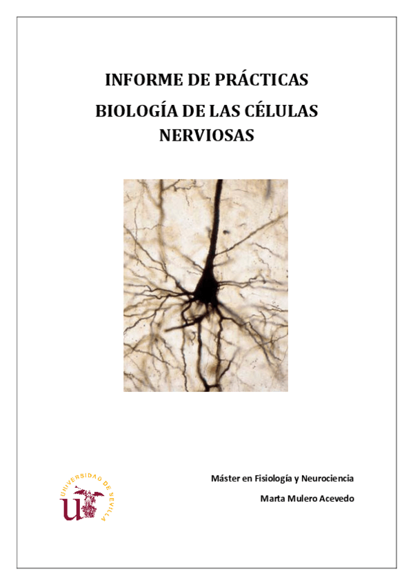 Miniatura del documento Informe-Marta-Mulero-Acevedo.pdf