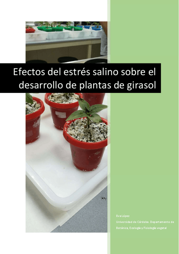 Miniatura del documento Memoria-pratica-fva.pdf