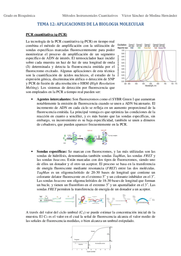 Miniatura del documento Tema 12. Aplicaciones de la biología molecular VSM.pdf