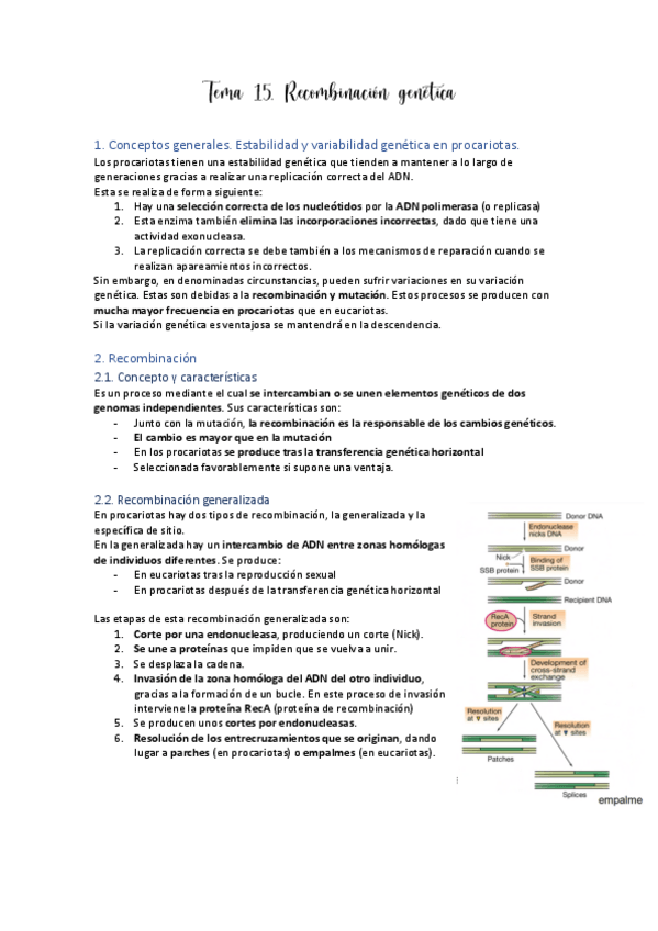 Miniatura del documento Tema-15.pdf