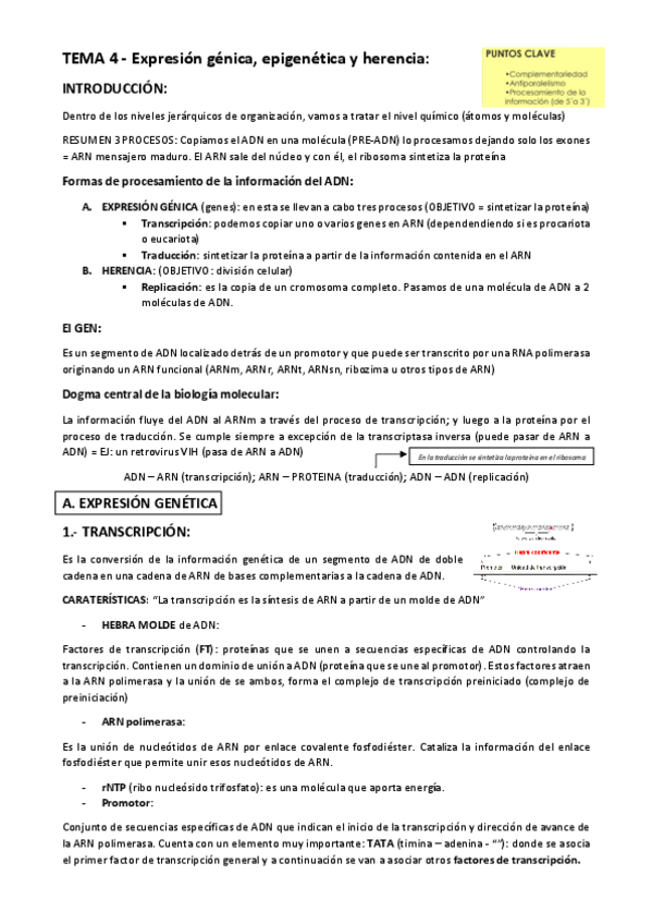 Miniatura del documento TEMA-4.pdf