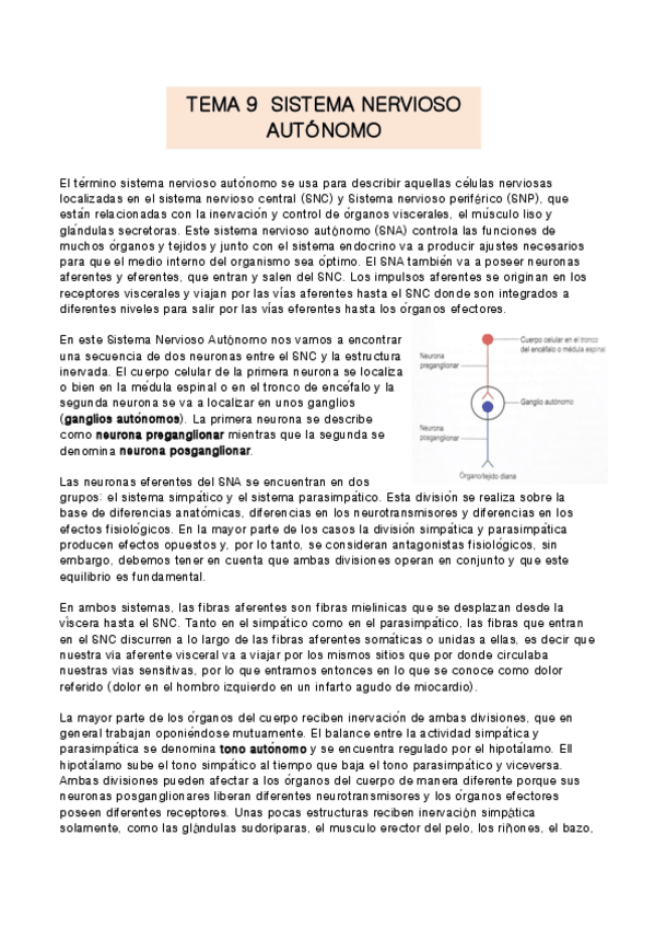 Miniatura del documento TEMA-9-anatomia.pdf