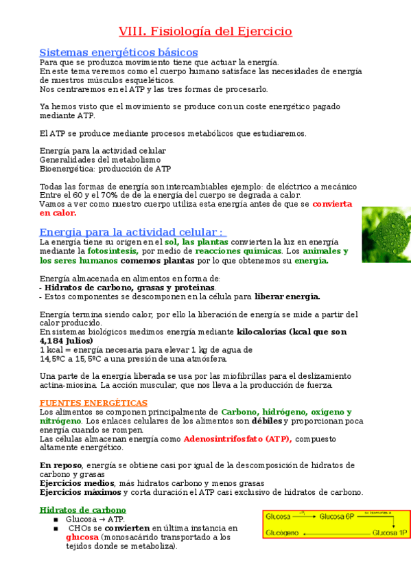 Miniatura del documento Unidad-8-.docx