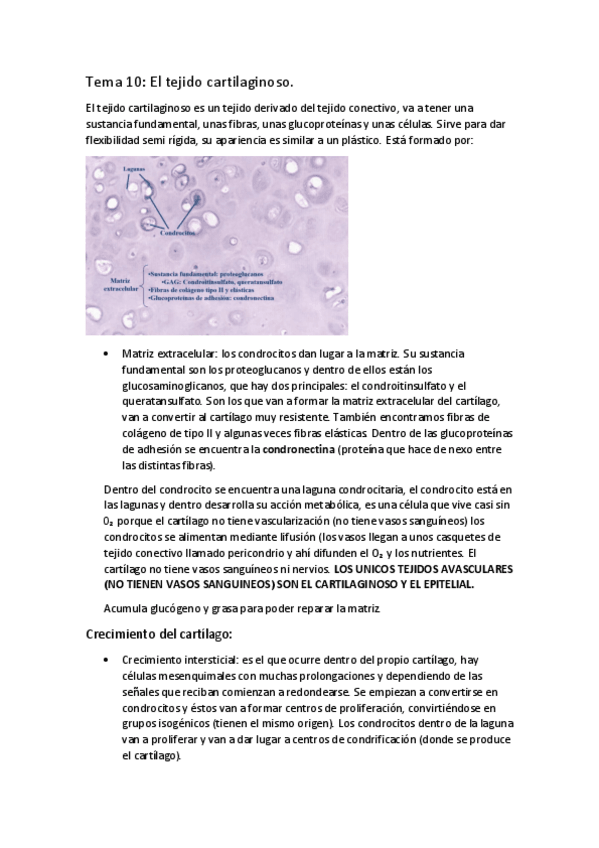 Miniatura del documento APUNTES-BIOLOGIA-T.pdf