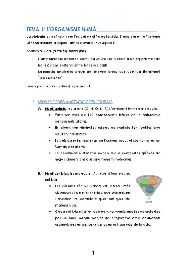 Miniatura del documento TEMA-1.pdf