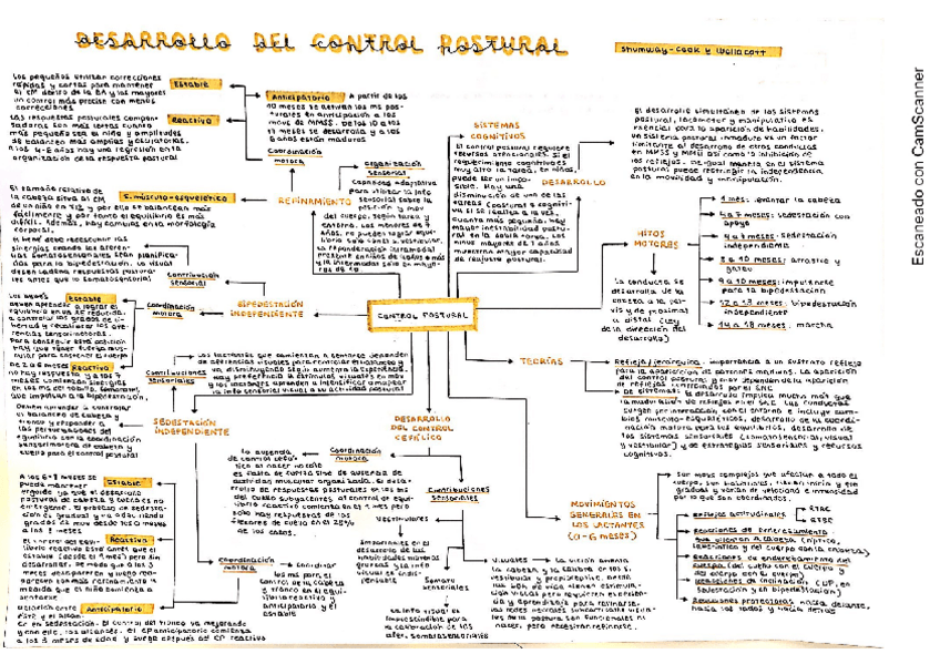 Miniatura del documento Desarrollo-del-control-motor.pdf
