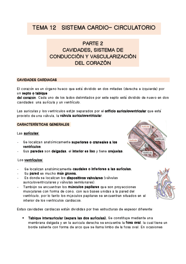 Miniatura del documento TEMA-12-parte-2.pdf