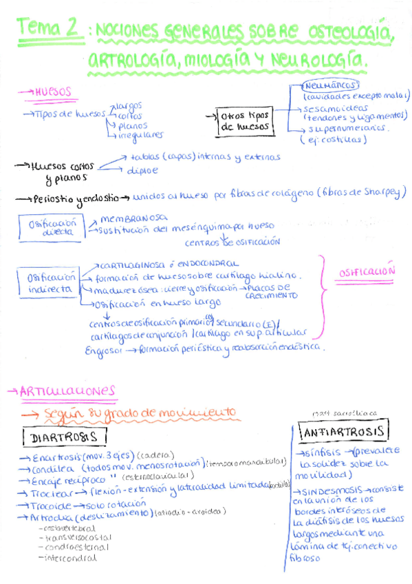 Miniatura del documento RESUMENES-Y-PRACTICAS-ANATOMIA.pdf