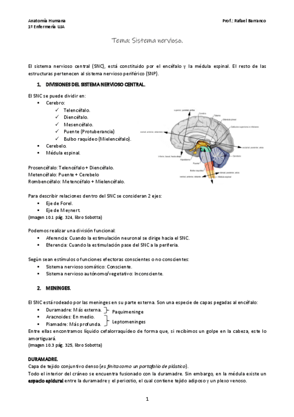 Miniatura del documento Tema-Sistema-Nervioso-COMPLETO.pdf