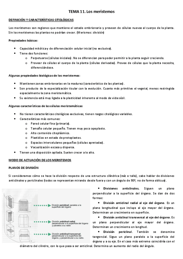 Miniatura del documento TEMA-11.pdf