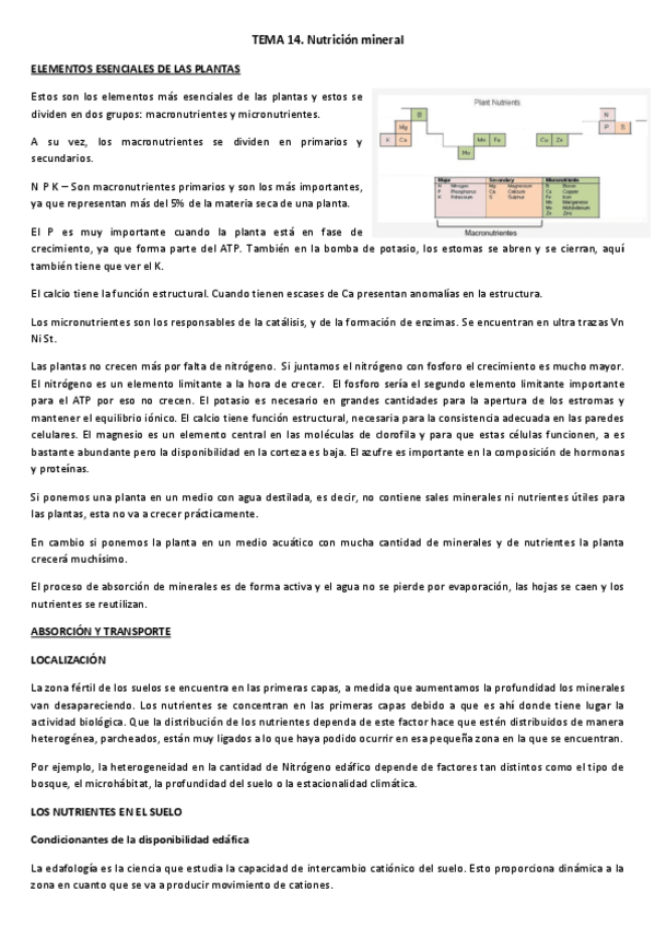 Miniatura del documento TEMA-14.pdf