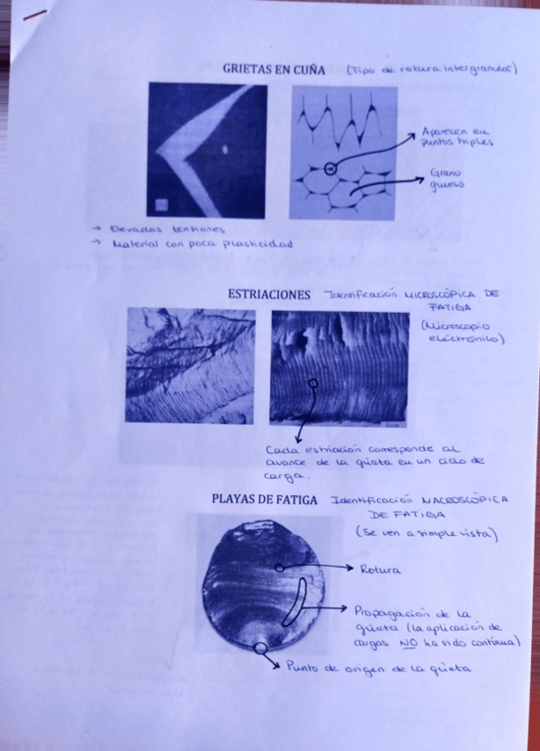 Miniatura del documento Micrografias-comentadas.pdf