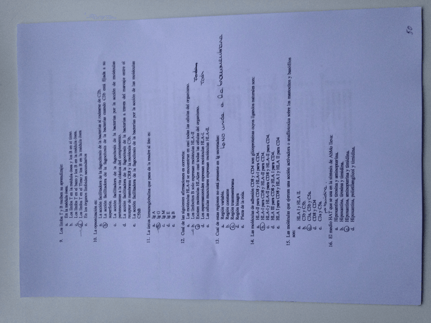 Miniatura del documento 2.JPG