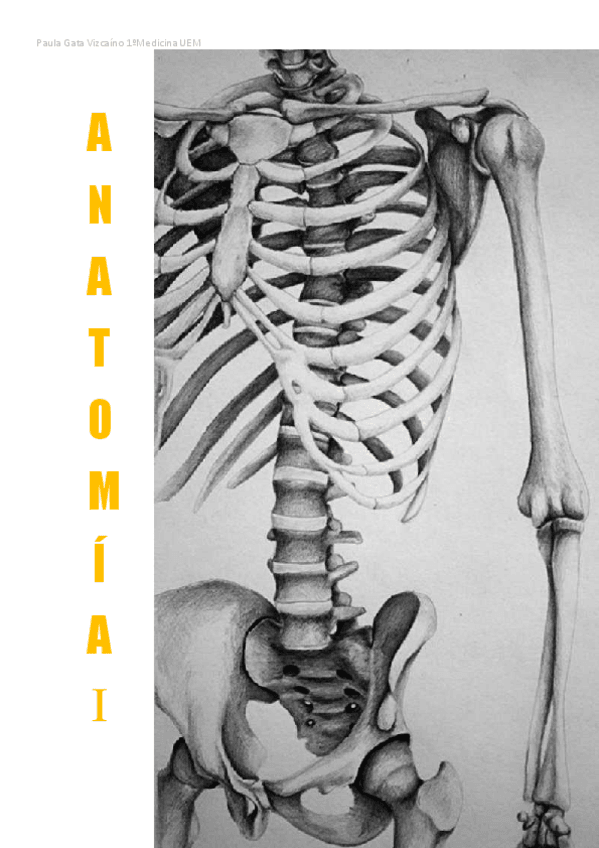 Miniatura del documento INTRODUCCION.pdf